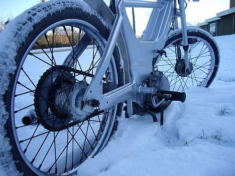 Puch Maxi K - Nye Billeder      <( Januar 2007 )> billede 10