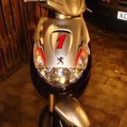 Peugeot viva city silversport