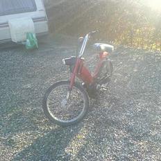 Honda ¨Camino bytte til puch