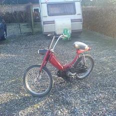 Honda ¨Camino bytte til puch