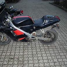 Derbi GPR *solgt* [Milo]
