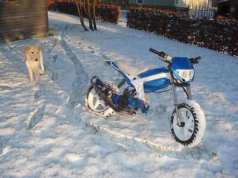 Suzuki Street magic      [SOLGT] billede 5