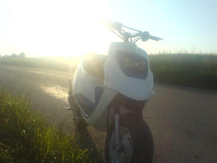 PGO hot 50 billede 10