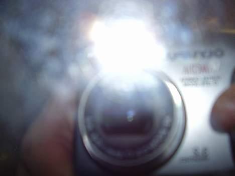 Kreidler 1,2 hk 2 gear miss u <3 billede 16