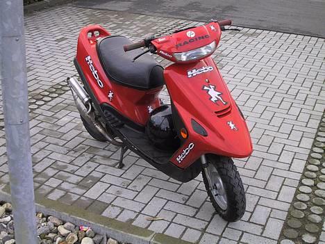 Kreidler Easy Rider (Byttet væk) billede 6