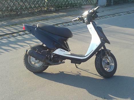 PGO hot 50 - før billede 11