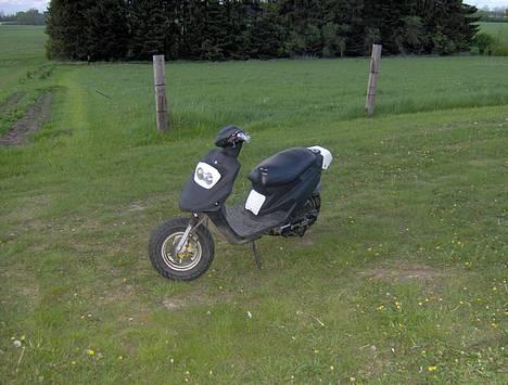 PGO Big Max  !SOLGT! billede 7