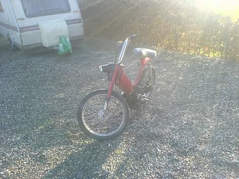 Honda ¨Camino bytte til puch billede 1