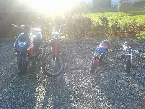 Honda ¨Camino bytte til puch billede 8