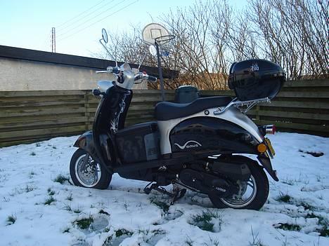 Giantco venus billede 1