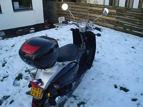 Giantco venus billede 2