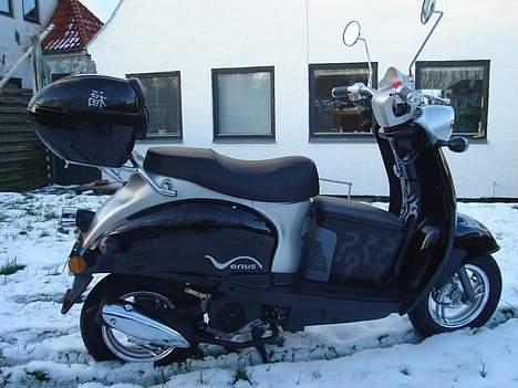 Giantco venus billede 3