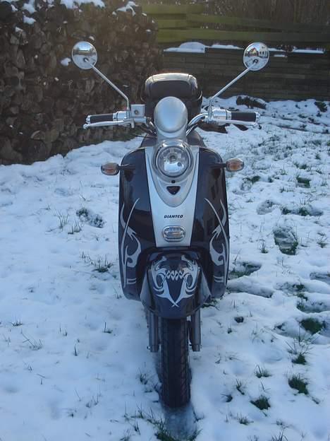 Giantco venus billede 4