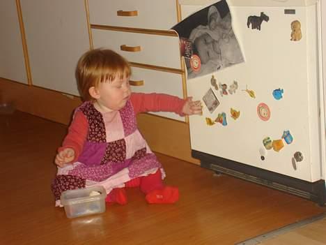 Giantco venus - ups! efternøleren, hun må ha en elektrisk en billede 5