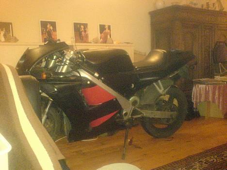 Derbi GPR *solgt* [Milo] billede 1