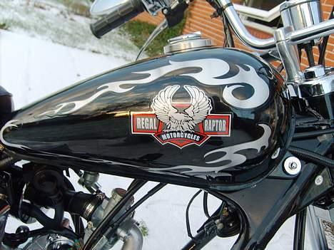 Regal Raptor    BYTTET TIL PMX - Tanken billede 4