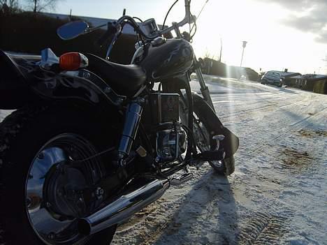 Regal Raptor    BYTTET TIL PMX - liiige i solen =) billede 11