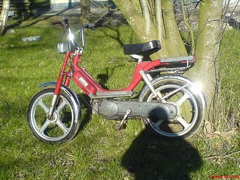 Vespa bravo solgt - lige blevet vasket billede 4