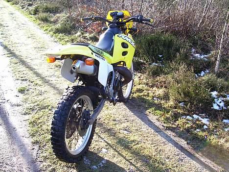 Suzuki RMX billede 5