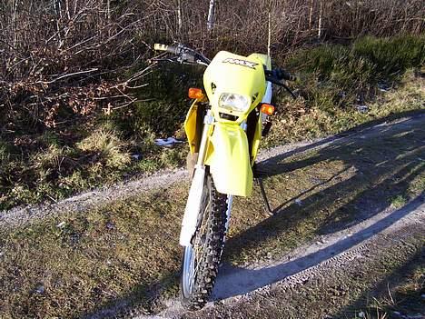 Suzuki RMX billede 7