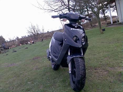 PGO Tornado billede 8