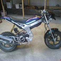 Suzuki street magic, SOLGT::(