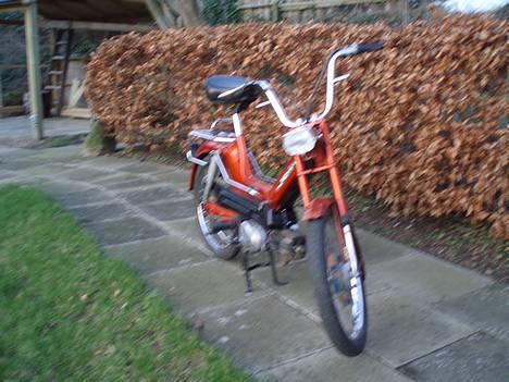 Puch Maxi KSL billede 13