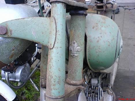 Sco Lux! - Rat style. billede 3