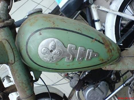 Sco Lux! - Den er som den skal være...  billede 6