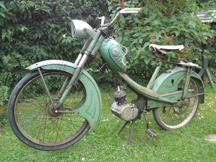 Sco Lux! - se en facon. Utrolig Smuk er den billede 15