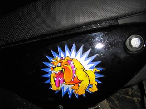 Peugeot tkr billede 5