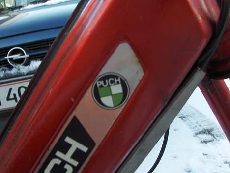 Puch Maxi P E50 - Solgt billede 14