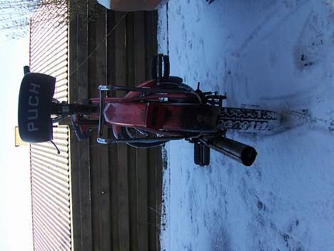 Puch Maxi P E50 - Solgt billede 16