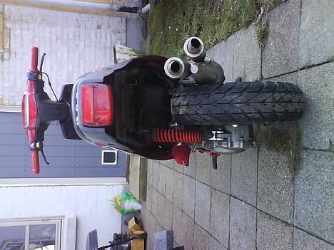 PGO hot 50 billede 8