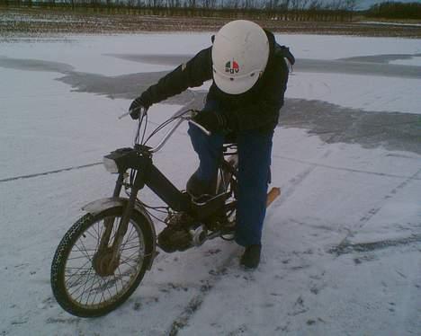 Puch Maxi billede 13