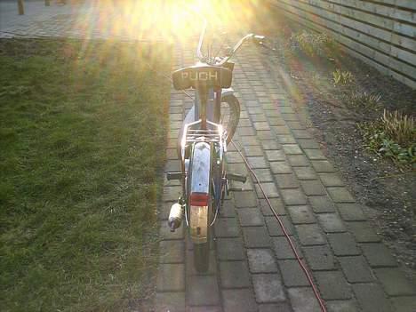 Puch Maxi K  solgt billede 8