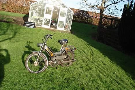 Puch maxi kl billede 2