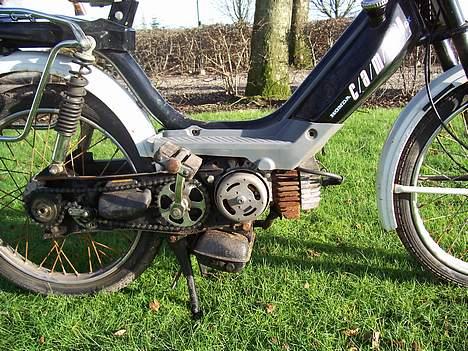 Honda Camino SOLGT! billede 3