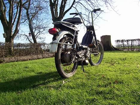 Honda Camino SOLGT! billede 6