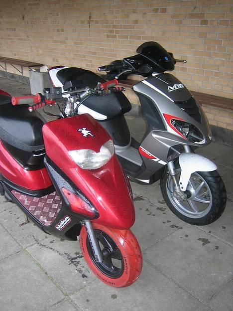 Honda  SFX [ solgt ] - Min og vens nrg (: billede 8