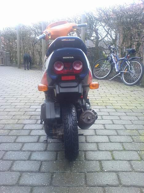 Honda SFX      solgt billede 6