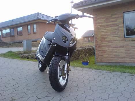 PGO Tornado solgt billede 8