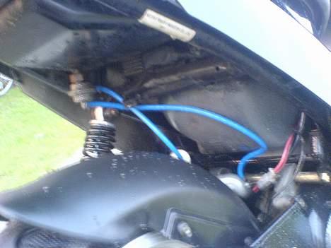 PGO Tornado solgt billede 18