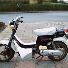 Suzuki FZ50