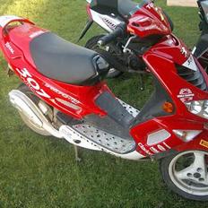 Peugeot *Speedfight* 2 Wrc(SOLGT)