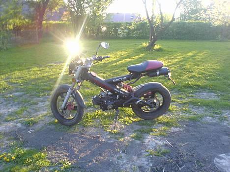 Sachs madass solgt billede 1