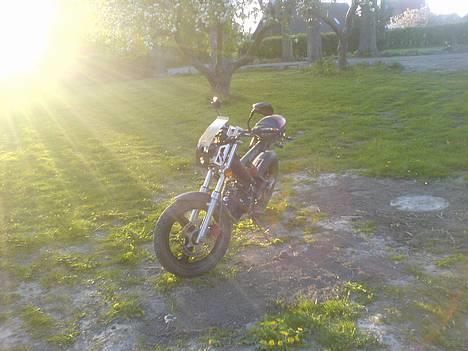 Sachs madass solgt billede 2