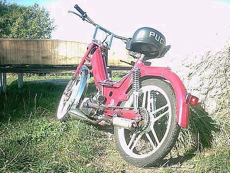 Puch maxi billede 1