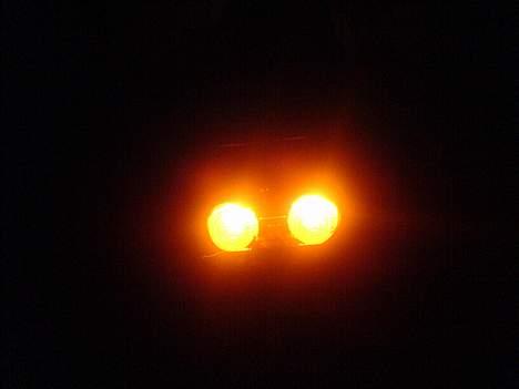 Honda sfx [Solgt] - orange baglygter billede 6