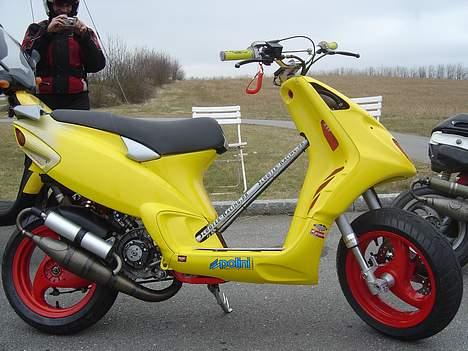 Piaggio Mc 3  Stjålet billede 7